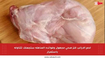 لحم الأرانب كنز صحي مجهول وفوائده المذهلة ستجعلك تتناوله باستمرار